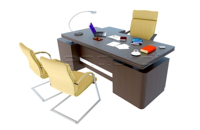 Luxurious Director Desk